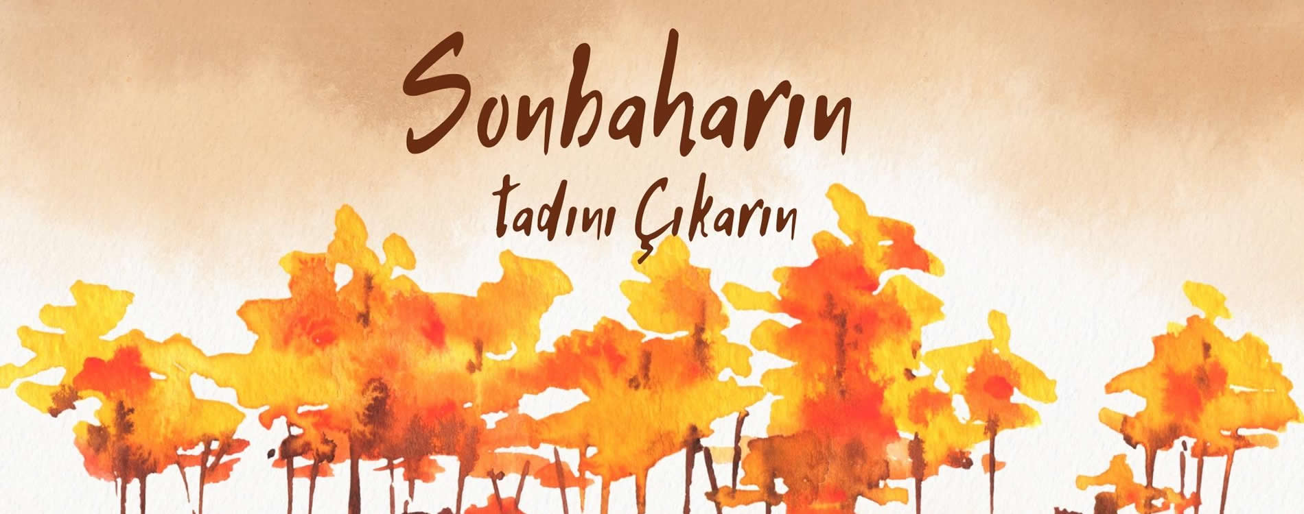Sonbaharın Tadını Çıkarın